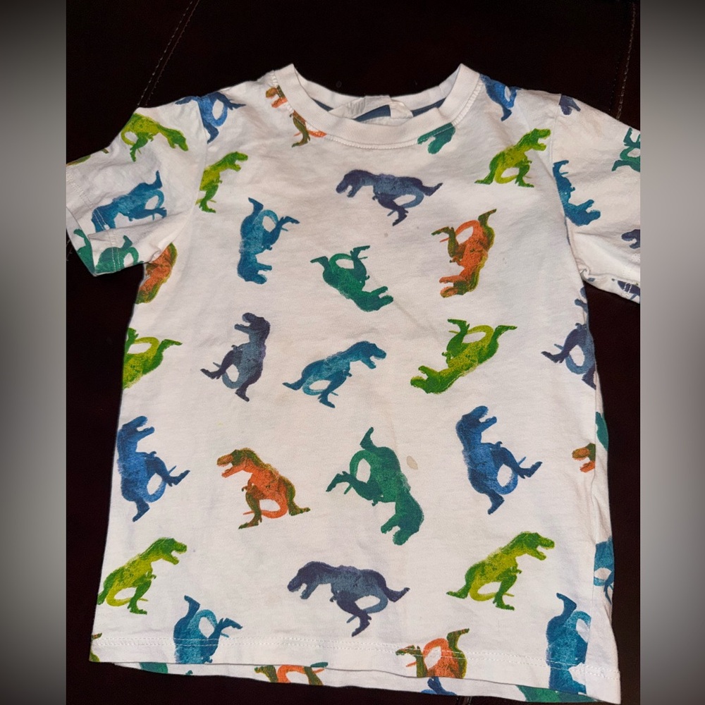 H&M Kids Dinosaur Print Shirt - Multicolor